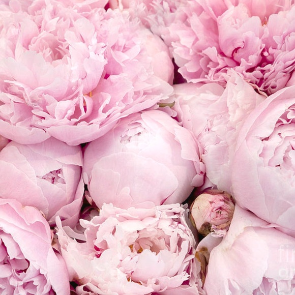 Meet your Posher - Picture 2 of 4